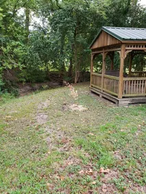 Marlin-Lago 2 (Marlin-Lago 2) - Image 4