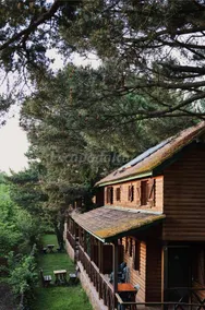 Landhaus mit Sauna, Grill und Garten | Naturblick - Image 2
