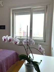 Hébergement avec 1 chambre à coucher pour 4 personnes - Image 3