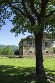 Agriturismo La Concezione: Camera matrimoniale Sangiovese - Image 2