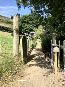 Pet-Friendly Camping Pod for Two on a 20-Acre Smallholding in Powys, Wales - Image 5
