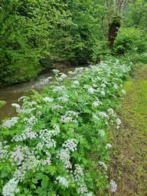 Leßnitz, Leßnitz - Image 4