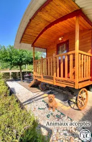 Familienorientierte tolle Ferienunterkunft mit Terrasse, Garten und Grill | Hunde erlaubt - Image 5