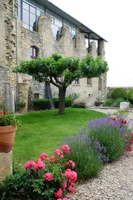 Fantastica casa accogliente e familiare con barbecue, piscina privata e giardino | Adatta per il telelavoro | Accetta animali domestici - Image 4
