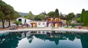 Lovely cottage with BBQ, garden & pool | Garden view | Pets are welcome - Image 4