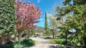 Cottage with pool, terrace & BBQ | Nature view - Image 3