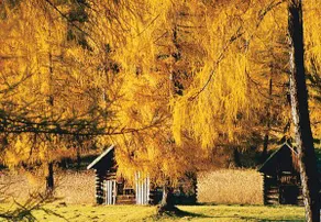 Family-oriented holiday apartment with pool, sauna & garden | Dogs allowed - Image 3