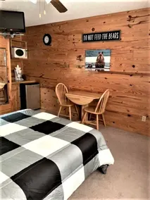 Delightful Studio Cabin for Two near Mirror Lake in Mountainview, Arkansas - Image 4