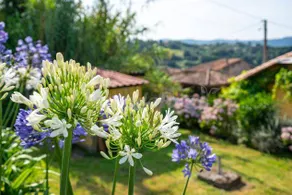 Cottage with garden, terrace & barbecue | River view - Image 3