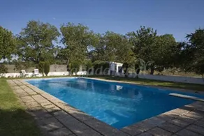 Cottage with barbecue, pool & garden | Garden view | Pets are welcome - Image 2