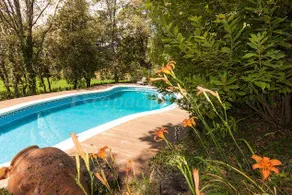 Nice cottage with barbecue, pool & garden | Garden view | Pet-friendly - Image 5