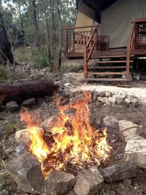Experience Safari Tent Glamping in this Toowoomba Accommodation in Queensland - Image 5