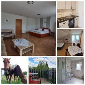 Weingut und Ferienappartement Erbacher Hof - Image 5