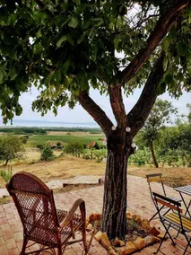 Holiday home with 2 rooms for 6 persons - Image 2