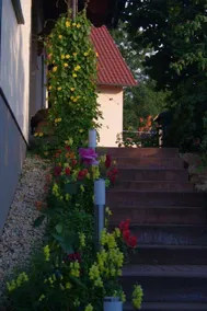 Monolocale con griglia - Image 3