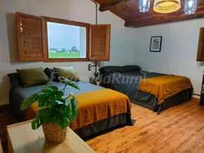 Pleasant cottage with garden, BBQ & terrace | Nature view | Pets allowed - Image 5