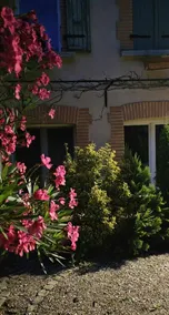 Voll ausgestattete Ferienunterkunft mit privatem Pool, Grill und Terrasse | Hunde erlaubt - Image 3