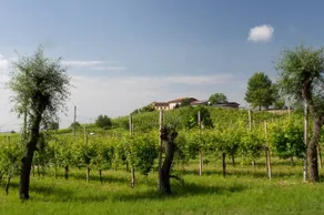 Moro Barel: Loghet - Image 3