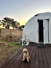 Serene Luxury Glamping Domes with Panoramic Sunrise Views near Balmattum, Victoria - Image 3