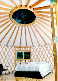 Roan Mountain Glamping Yurt, Ideal to Hike the Appalachian Trail - Image 4