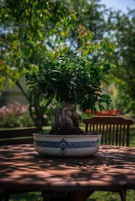 B&B with garden & terrace - Image 4