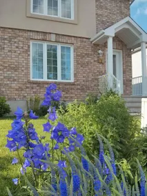 Agréable chambre chez l'habitant avec jardin | Parfaite pour le travail à distance - Image 2