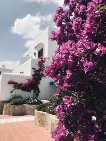 Nice house | Close to the beach - Image 4