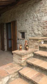 Gemütliche Wohnung | Hunde erlaubt - Image 4