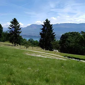 Ferienunterkunft mit Terrasse und Grill - Image 4