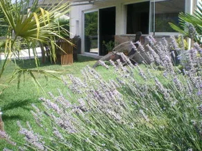 Flat with garden & BBQ | Mountain view - Image 2