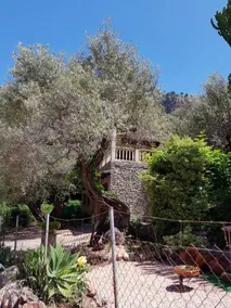 YourHouse Cas Sito - Image 4