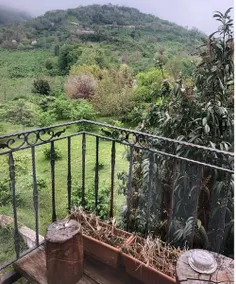Mellow Turkey Ordu - Image 5