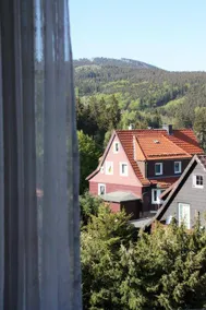 Child-friendly holiday apartment with garden, barbeque & terrace | Close to the ski | Pet-friendly - Image 5