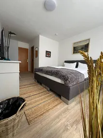 Dedicated room with terrace - Image 2