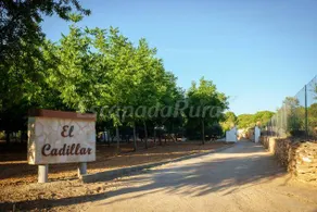 Landhaus mit Terrasse, Grill und Garten | Naturblick - Image 3
