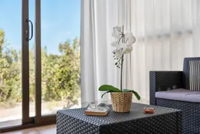 Holiday Home 'El Naranjo Viejo' with Sea View, Wi-Fi and Air Conditioning - Image 4
