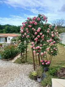 B&B with garden & terrace | Perfect for remote work - Image 2
