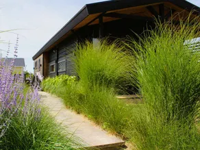 Alluring Chalet in Lith with Terrace and Garden - Image 2