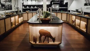 Magnifico appartamento adatto alle famiglie con sauna, barbecue e terrazza | Perfetto per il lavoro da remoto | Ammette animali domestici - Image 5