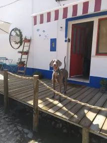 Maison avec internet haut débit, jacuzzi et terrasse | Vue lac - Image 5