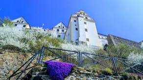 Holiday home with sauna, terrace & garden | Panoramic view - Image 2