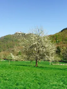 Maison de vacances avec 3 chambres à coucher pour 6 personnes - Image 3