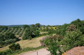 Flat with garden, terrace & pool - Image 4