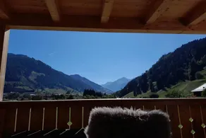 Apartments With Mountain View near the slopes in Rauris - Image 4
