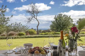 Villa avec barbecue, sauna et jardin - Image 3