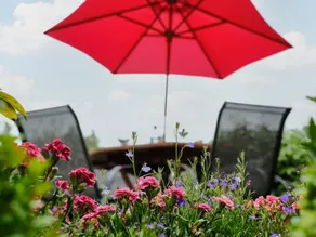 Child-friendly pleasant cottage with garden | Beach view | Pets are welcome - Image 3