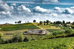 Cascina Faletta: Luigi - Image 2