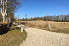 Fully equipped holiday home with terrace | Pet-friendly - Image 3
