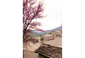 Spettacolare locanda con giardino e terrazza | Vista sulla montagna - Image 4