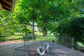 Apartment 'Nussbäumle' with Private Terrace, Shared Garden and Wi-Fi - Image 4